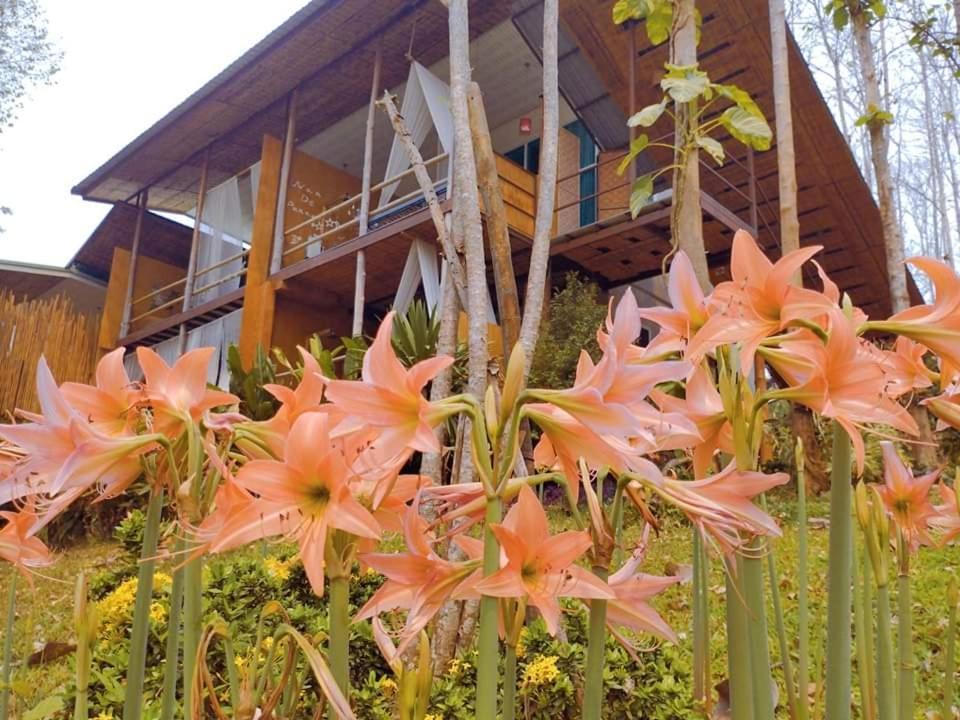 Nan De Panna Resort And Spa Luaran gambar